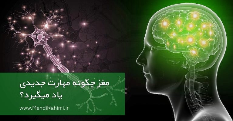 یادگیری مغز